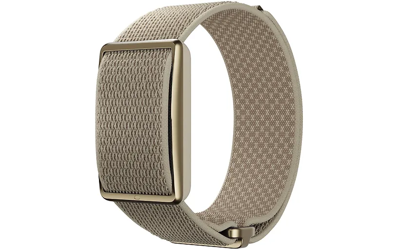 Polar Loop Gold Sand