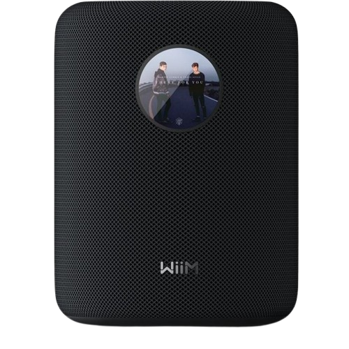 Wiim Sound älykaiutin